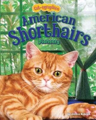 American shorthairs : pioneers  cover image cdn