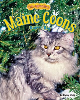 Maine coons : super big  cover image cdn