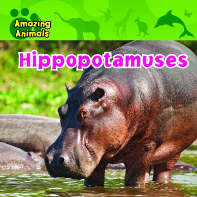 Hippopotamuses  cover image cdn