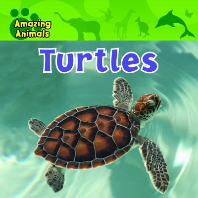Turtles  cover image cdn