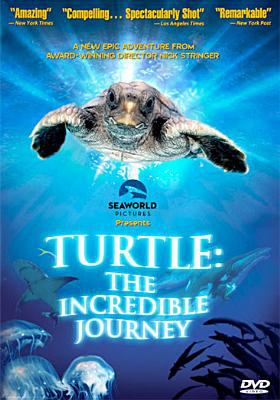 Turtle the incredible journey  cover image cdn