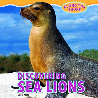 Discovering sea lions  cover image cdn