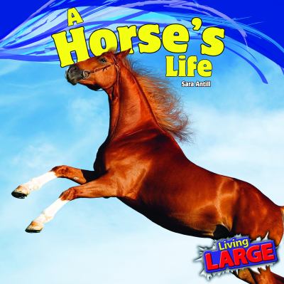 A horse's life  cover image cdn
