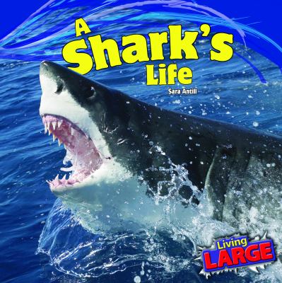 A shark's life  cover image cdn