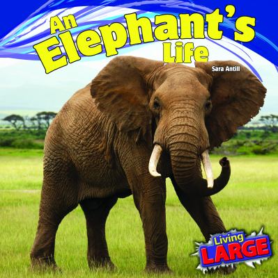 An elephant's life  cover image cdn