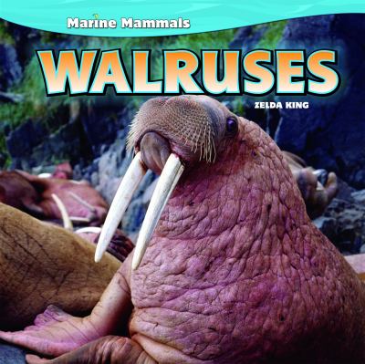 Walruses  cover image cdn