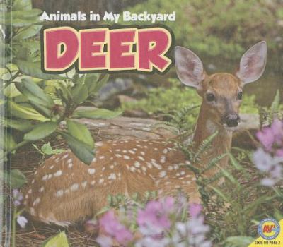 Deer  cover image cdn
