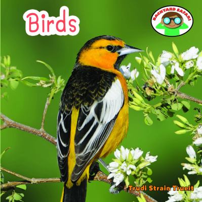 Birds  cover image cdn