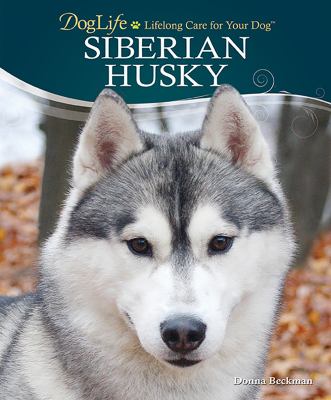 Siberian husky  cover image cdn