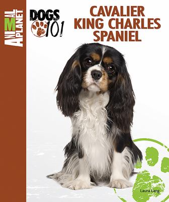 Cavalier King Charles spaniel  cover image cdn