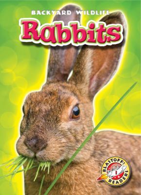 Rabbits  cover image cdn