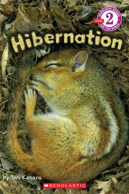 Hibernation  cover image cdn