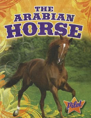 The Arabian horse  cover image cdn