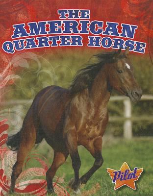 The American quarter horse  cover image cdn