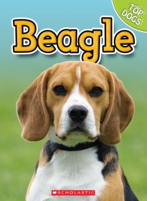 Beagle  cover image cdn