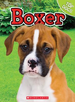 Boxer  cover image cdn