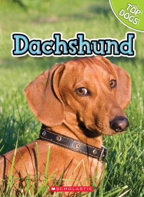 Dachshund cover image