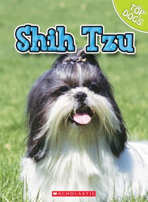 Shih tzu  cover image cdn
