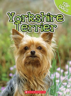 Yorkshire terrier  cover image cdn