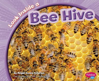 Look inside a bee hive  cover image cdn