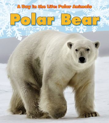 Polar bear  cover image cdn