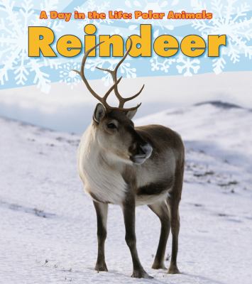 Reindeer  cover image cdn