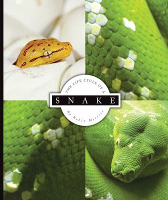 The life cycle of a snake  cover image cdn