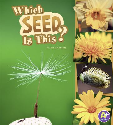 Which seed is this?  cover image cdn
