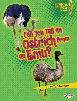 Can you tell an ostrich from an emu  cover image cdn