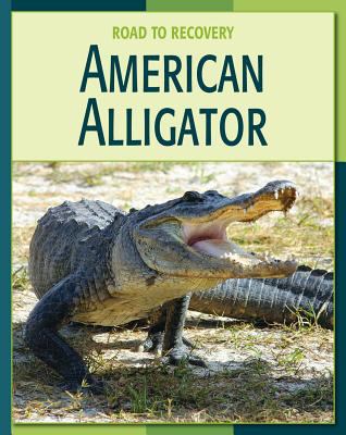 American alligator  cover image cdn