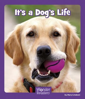 It's a dog's life  cover image cdn