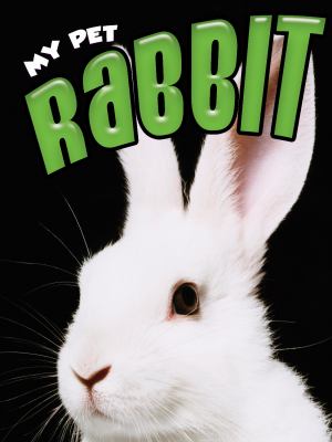 Rabbit cover image