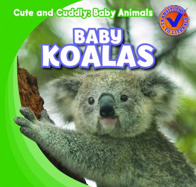 Baby koalas  cover image cdn