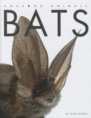 Bats  cover image cdn