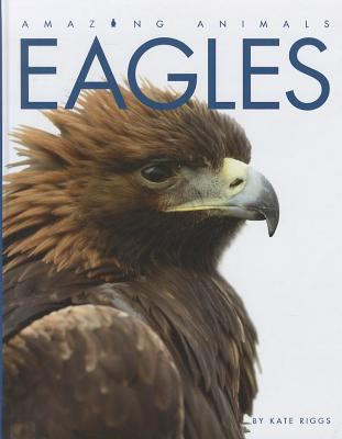 Eagles  cover image cdn