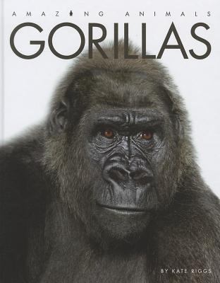 Gorillas  cover image cdn