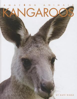 Kangaroos  cover image cdn