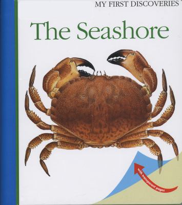 The seashore  cover image cdn
