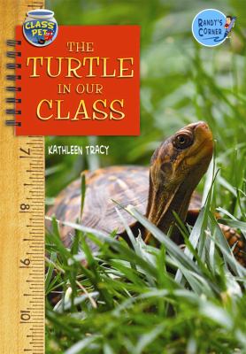The turtle in our class  cover image cdn