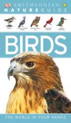 Birds  cover image cdn