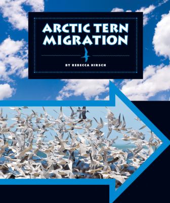 Arctic tern migration cover image