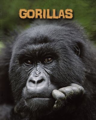 Gorillas  cover image cdn