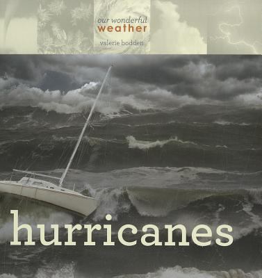 Hurricanes cover image