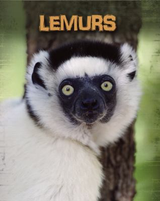 Lemurs  cover image cdn