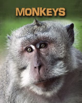 Monkeys  cover image cdn