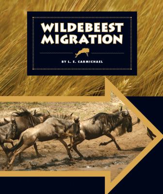 Wildebeest migration cover image