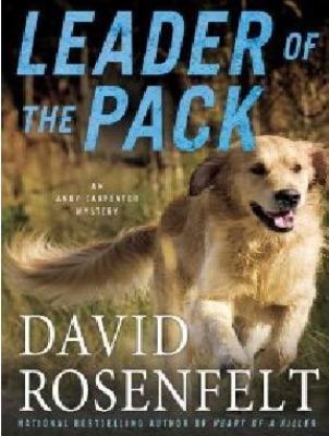 Leader of the pack cover image cdn