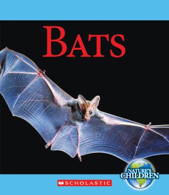 Bats  cover image cdn