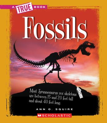 Fossils  cover image cdn