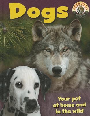 Dogs  cover image cdn